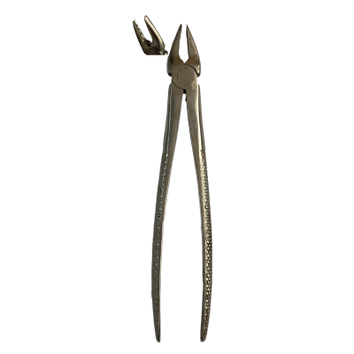 Щ-170 Stomatological forceps